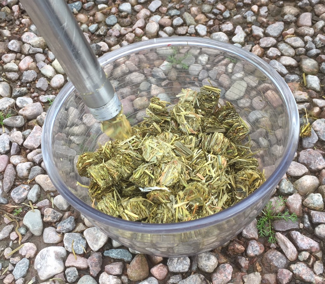 Foto på grovfoder i skål för analys. Rätt fakta är basen för att kunna fatta rätt beslut! Analysera ditt grovfoder så att du vet vad du har. Då kan du ge rätt foder till rätt djur. Foto: Anna Hultgren