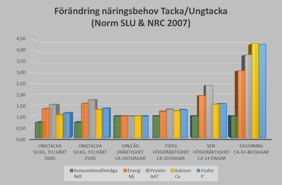 Diagram med näringsbehovet hos får i olika produktionsstadier. Källa SLU NRC. Sammanställt av Theo den Braver Gård&Djurhälsan 